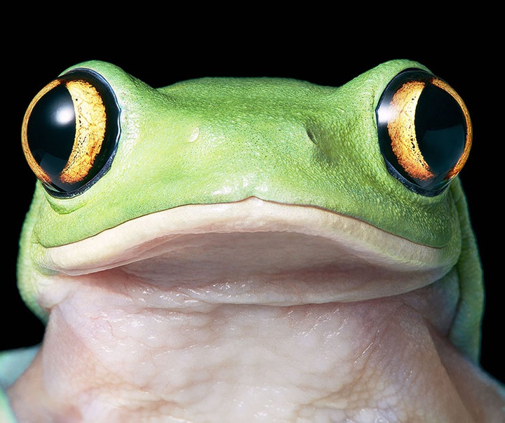 گالری عکس‌های خلاقانه تیم فلچ از بریتانیا