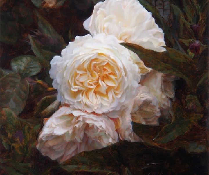 گالری نقاشی های استفانی راجرز از انگلیس