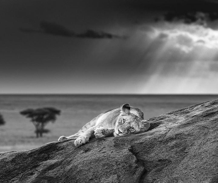 گالری عکس های جیمز لوین از انگلیس