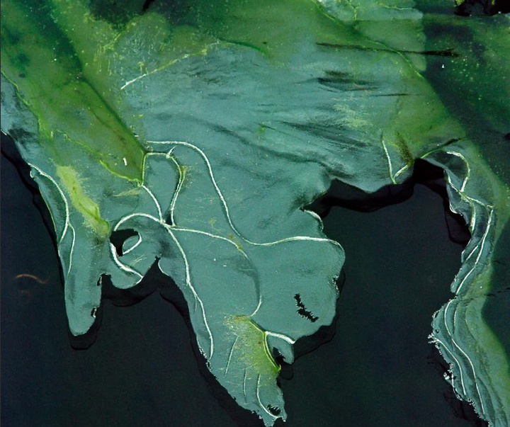 گالری آثار عکاسی مایک سایدل از آلمان