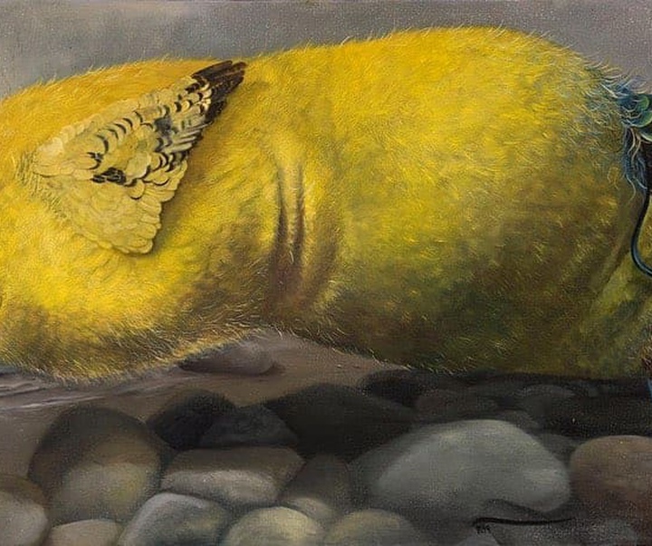 گالری آثار تصویرسازی نسیم داوری از ایران