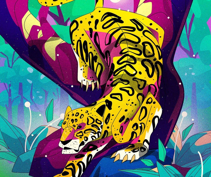 گالری تصویرسازی‌های دنیس فریتاس از برزیل