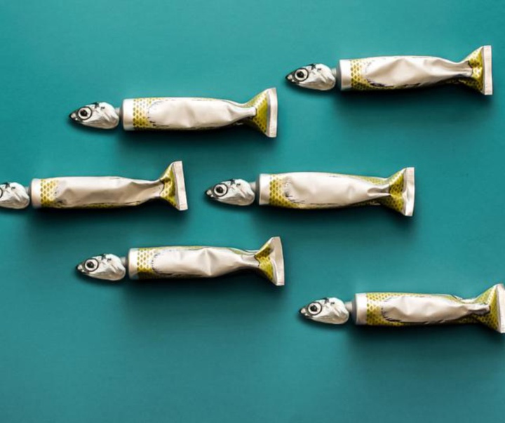 گالری عکس‌های وولف سیلوری از اتریش