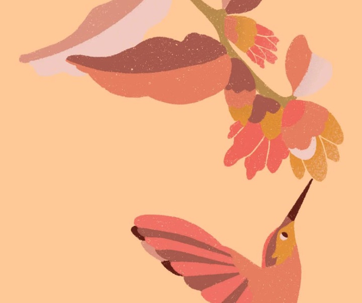 گالری تصویرسازی های باربارا دانتاس از برزیل