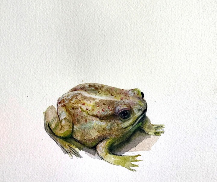 گالری نقاشی‌های لولا ماری از آرژانتین