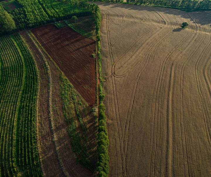 گالری آثار عکاسی ویکتور موریاما از برزیل