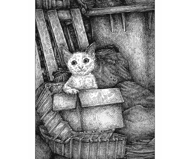 گالری آثار تصویرسازی نیکول بوستامانته از برزیل