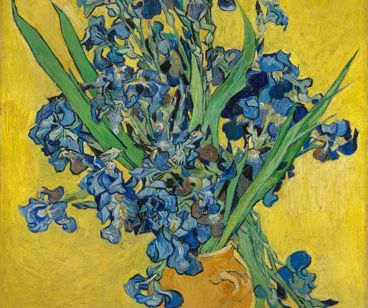 vincent van gogh 9oUJduE