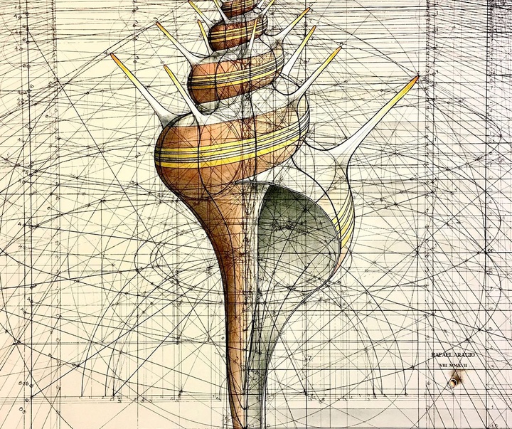 گالری نقاشی های هندسی رافائل آرائوخو از ونزوئلا