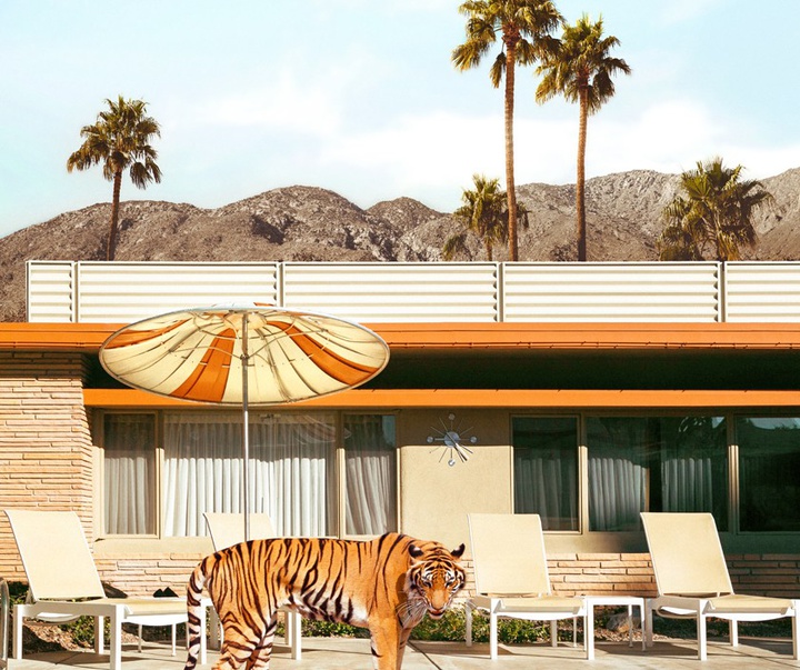 گالری آثار عکاسی پاول فوئنتس از بریتانیا