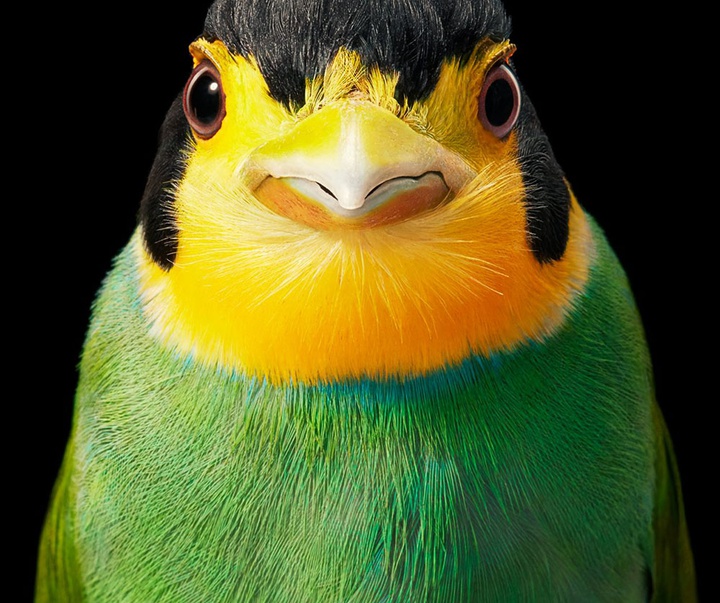 گالری عکس‌های خلاقانه تیم فلچ از بریتانیا