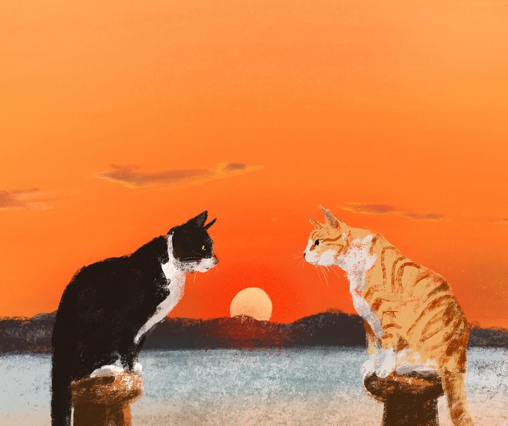 گالری تصویرسازی های جنی بلومفیلد از انگلیس