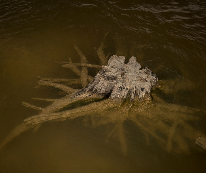 گالری آثار عکاسی خوانیتا اسکوبار از کلمبیا