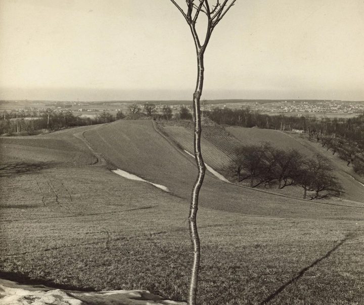 گالری آثار عکاسی آلبرت رنگر-پاتش از آلمان