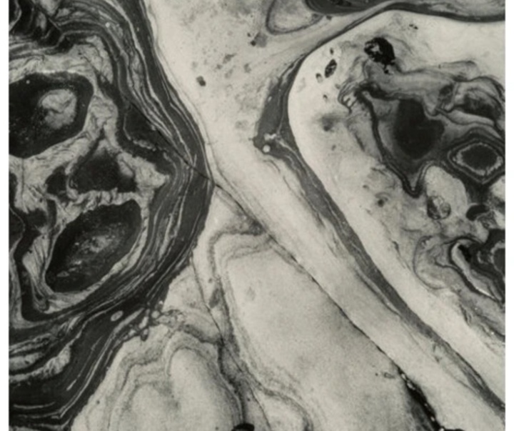 گالری عکس‌های ادوارد وستون از آمریکا