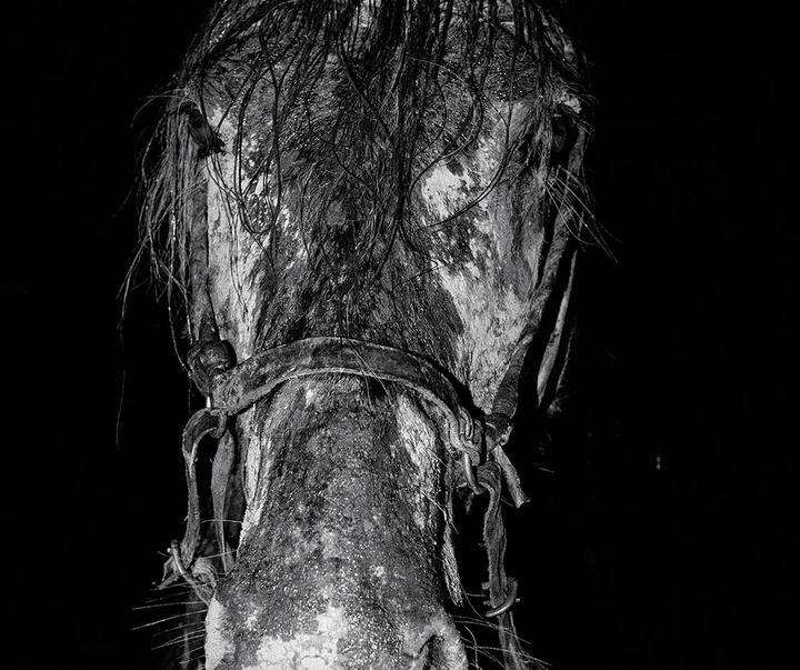 گالری آثار عکاسی خوانیتا اسکوبار از کلمبیا