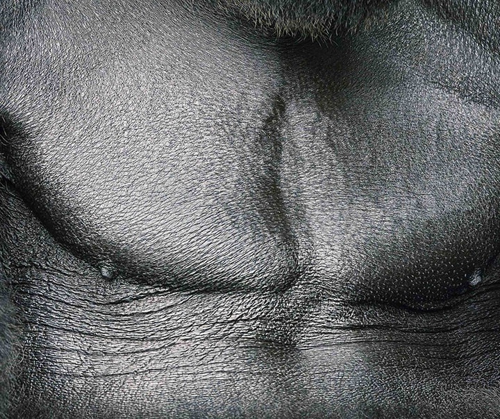 گالری عکس‌های خلاقانه تیم فلچ از بریتانیا