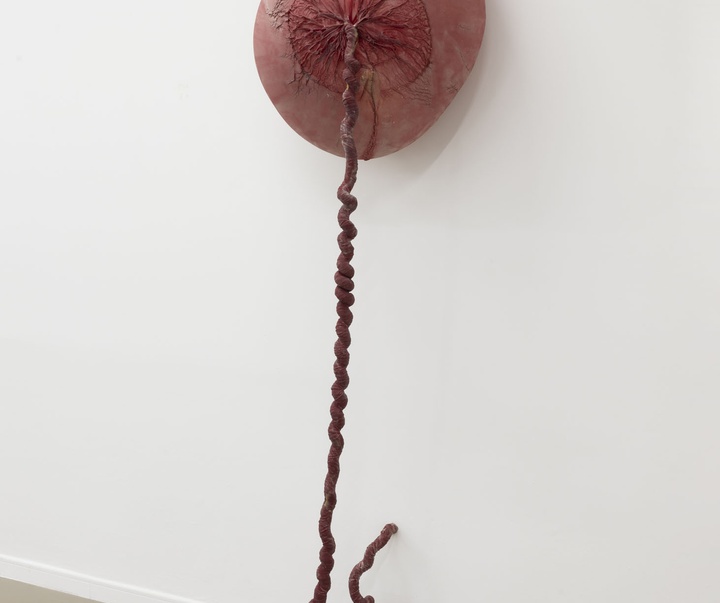 گالری آثر چیدمان و حجم اوا فابرگاس از اسپانیا