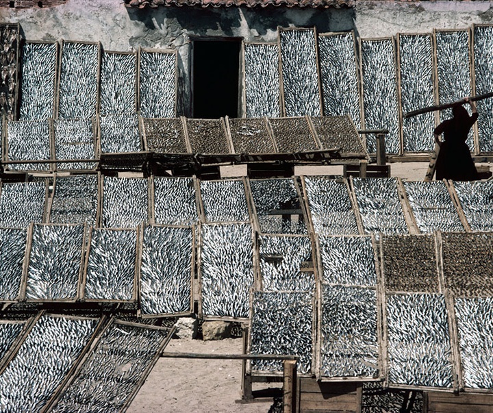 گالری آثار عکاسی برونو باربی از مراکش