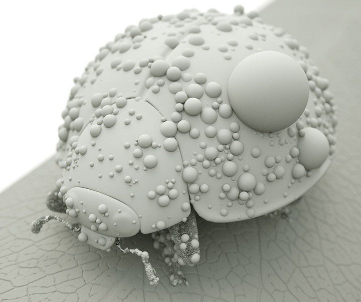 گالری آثار گرافیک سه بعدی خوزه کارلوس از کاستاریکا