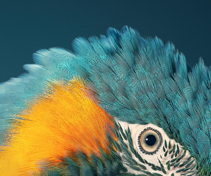 گالری عکس‌های خلاقانه تیم فلچ از بریتانیا