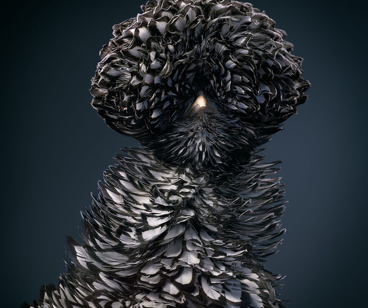 گالری عکس‌های خلاقانه تیم فلچ از بریتانیا