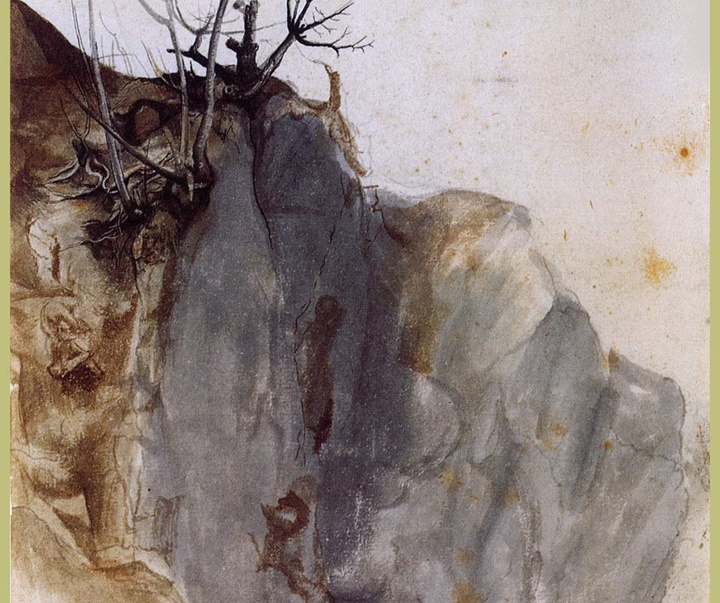 albrecht durer