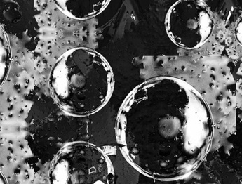 گالری آثار گرافیک آکریمکس از فرانسه