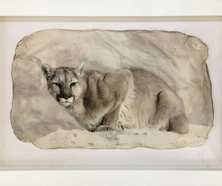 گالری نقاشی‌های پیت زالوزک از آمریکا