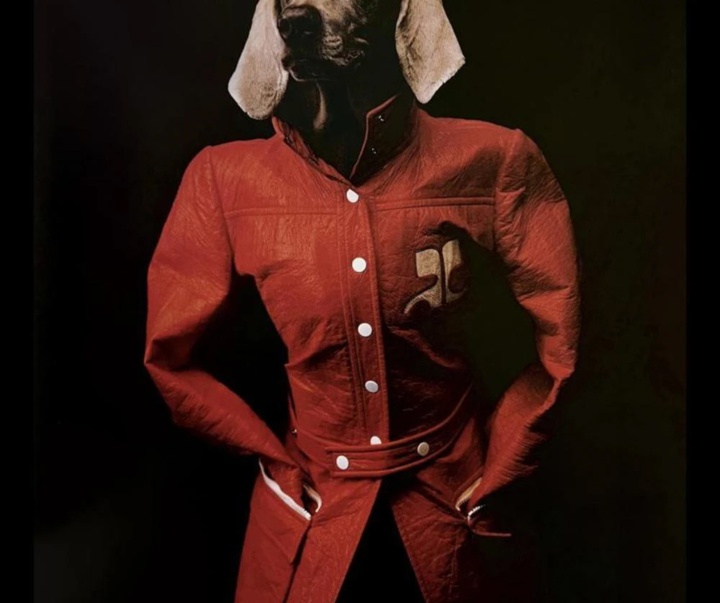 گالری عکس‌های ویلیام وگمن از آمریکا