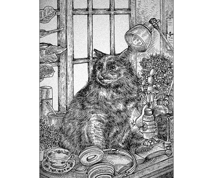 گالری آثار تصویرسازی نیکول بوستامانته از برزیل