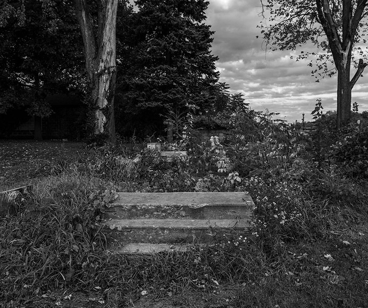 گالری آثار عکاسی لالو د آلمیدا از برزیل - قسمت اول