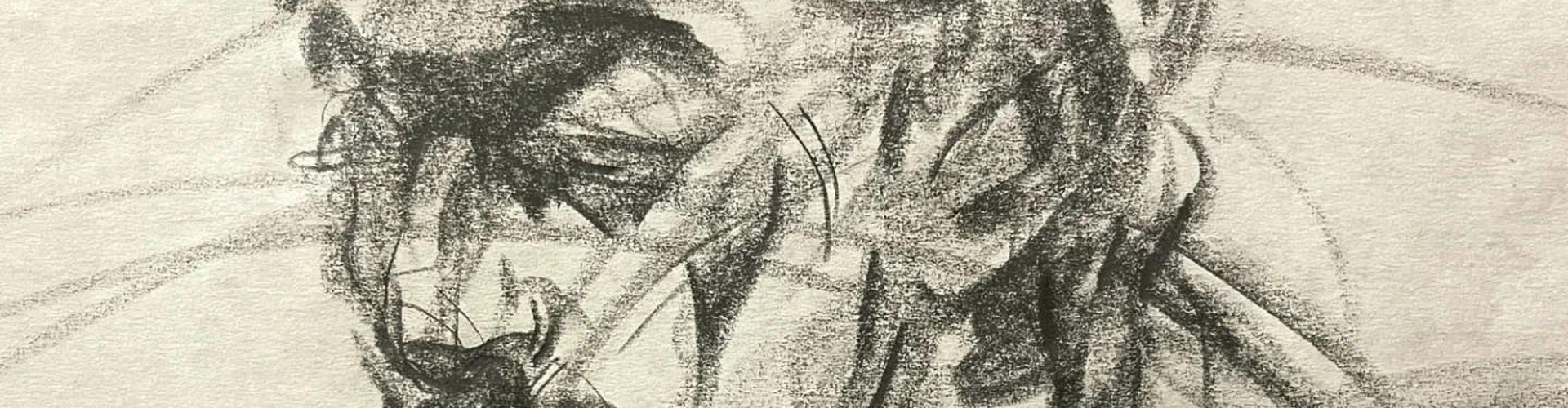 گالری طراحی های کیمیا پاکار از ایران