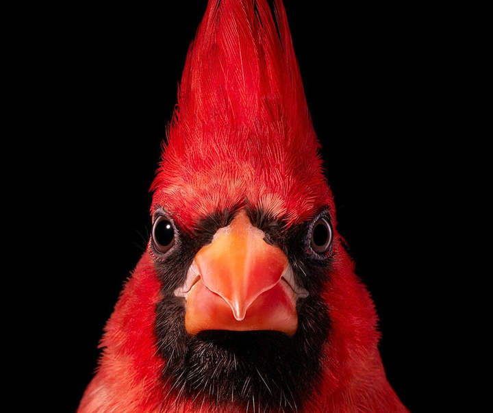 گالری عکس‌های خلاقانه تیم فلچ از بریتانیا