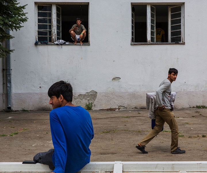 گالری آثار عکاسی لالو د آلمیدا از برزیل - قسمت دوم