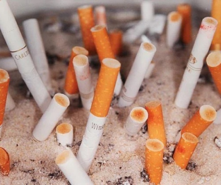 گالری آثار عکاسی مارتین پار از بریتانیا