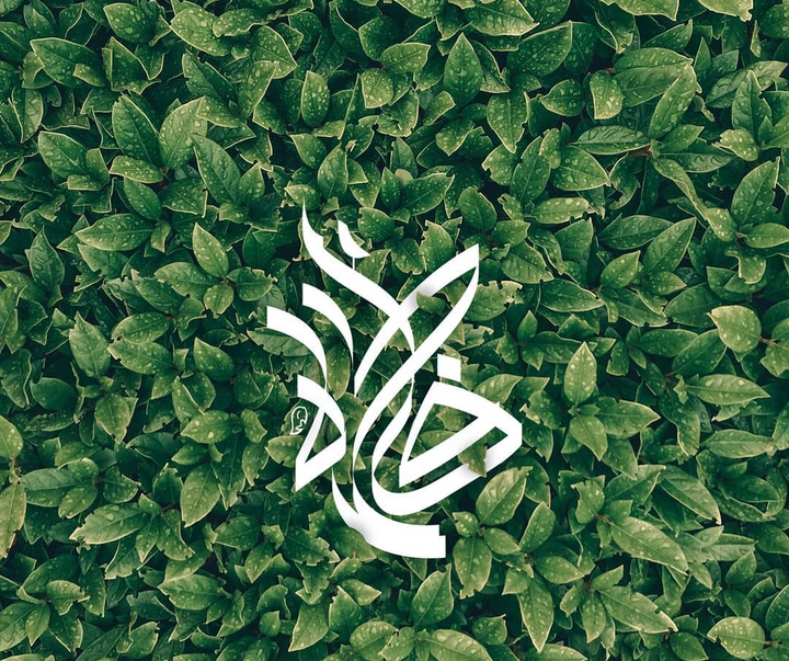 گالری آثار حروف نگاری و خوشنویسی فاطمه امینی