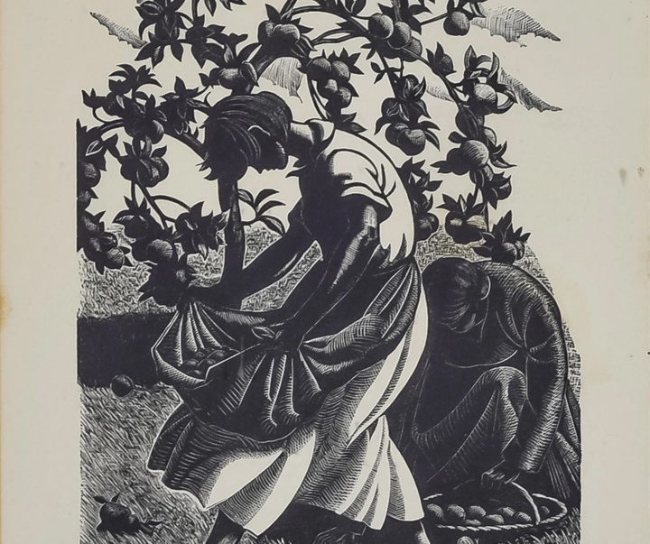 گالری آثار گرافیک کلر لیتون از آمریکا