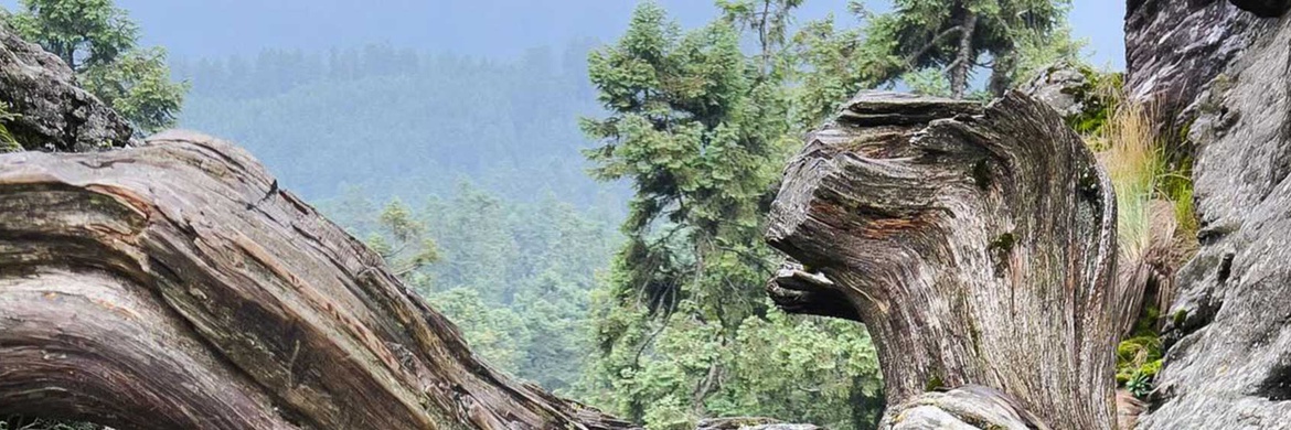 گالری آثار عکاسی اروین آندرس فریر اوکانا از مکزیک