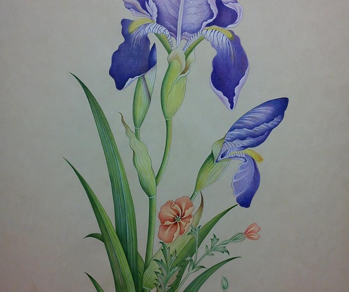 گالری آثار نگارگری شیدا گرایلی از ایران