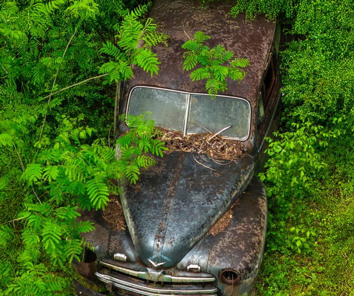 گالری آثار عکاسی جیم زاکرمن از برزیل - قسمت سوم