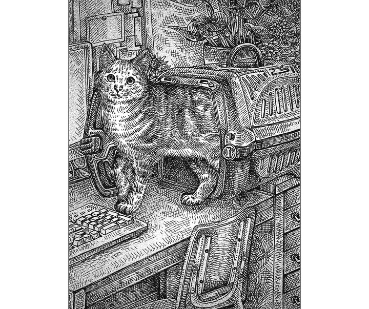 گالری آثار تصویرسازی نیکول بوستامانته از برزیل