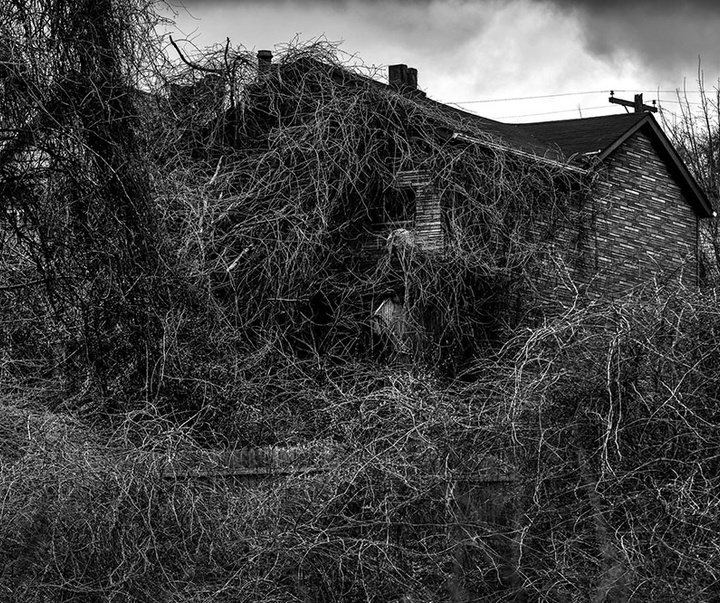 گالری آثار عکاسی لالو د آلمیدا از برزیل - قسمت اول