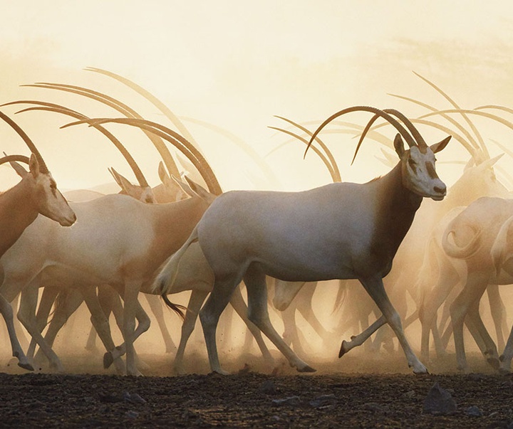 گالری عکس‌های خلاقانه تیم فلچ از بریتانیا