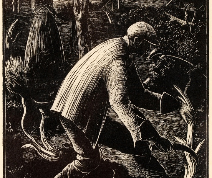 گالری آثار گرافیک کلر لیتون از آمریکا