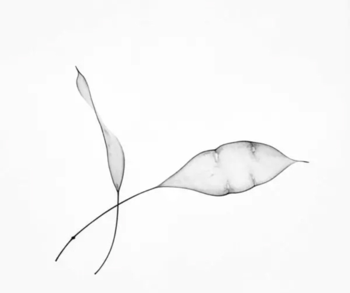 گالری آثار عکاسی مایک سایدل از آلمان