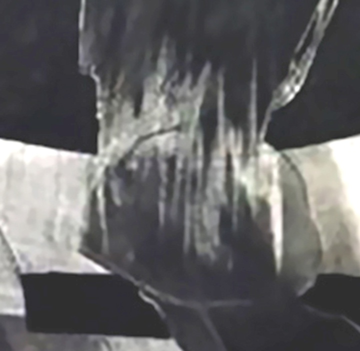 گالری تصویرسازی‌های بابک امجد