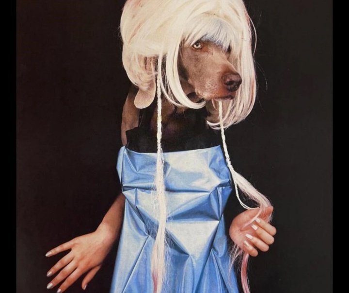 گالری عکس‌های ویلیام وگمن از آمریکا