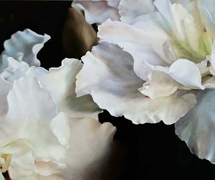 گالری نقاشی های استفانی راجرز از انگلیس