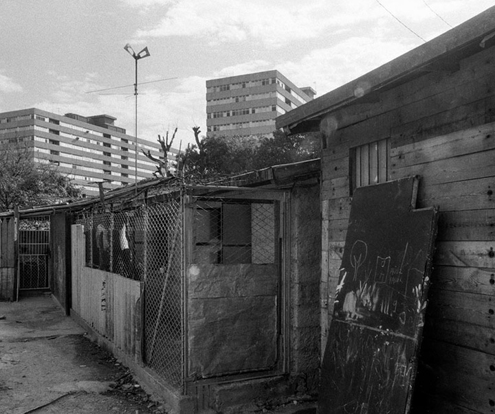 گالری آثار عکاسی داماریس بتانکور از کوبا